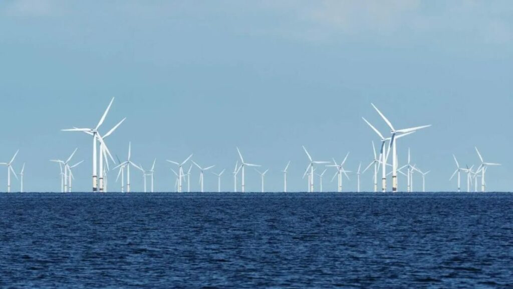 “Jabutis” em PL de eólicas offshore encarecem conta de luz